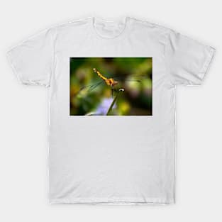 Dragonfly T-Shirt